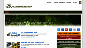 What Tcia.org website looked like in 2020 (3 years ago)