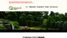 What Taxus.nl website looked like in 2020 (5 years ago)