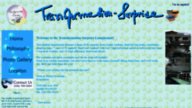 What Transformation-surprise.com website looked like in 2020 (3 years ago)