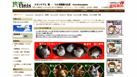 What Tiniskanagawa.net website looked like in 2021 (4 years ago)