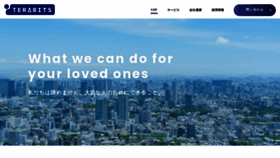 What Terabits.jp website looked like in 2021 (3 years ago)
