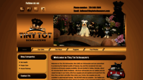 What Tinytotschnauzers.com website looked like in 2021 (5 years ago)
