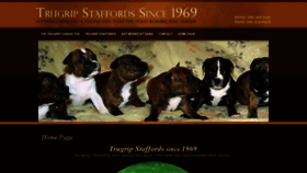 What Trugripstaffords.com website looked like in 2021 (5 years ago)