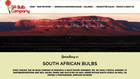What Thesabulbcompany.co.za website looked like in 2021 (3 years ago)