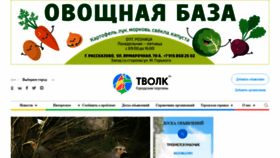 What Tvolk.ru website looked like in 2021 (3 years ago)