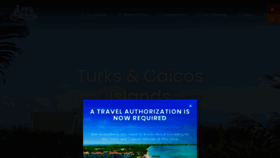 What Turksandcaicostourism.com website looked like in 2021 (3 years ago)