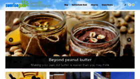 What Thesunriseguide.com website looked like in 2021 (3 years ago)