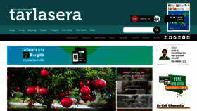 What Tarlasera.com website looked like in 2021 (3 years ago)