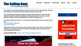 What Thesellingguys.com website looked like in 2021 (3 years ago)