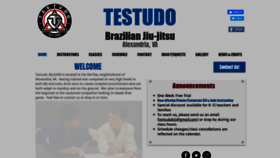 What Testudobjj.com website looked like in 2021 (3 years ago)