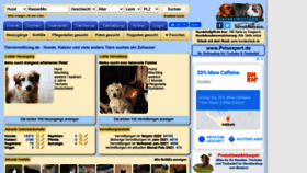 What Tiervermittlung.de website looked like in 2021 (3 years ago)