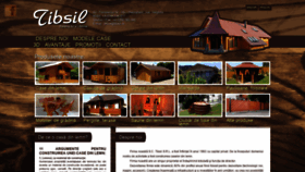What Tibsil.ro website looked like in 2021 (4 years ago)