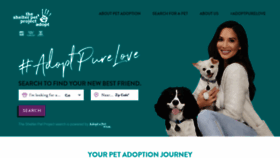 What Theshelterpetproject.org website looked like in 2021 (3 years ago)
