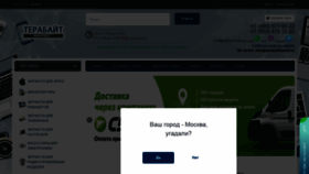 What Terabytemarket.ru website looked like in 2021 (3 years ago)
