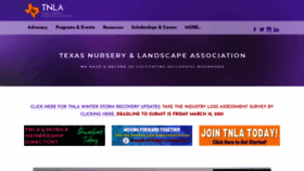What Tnlaonline.org website looked like in 2021 (3 years ago)