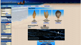 What Topseashells.com website looked like in 2021 (3 years ago)