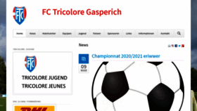 What Tricolore.lu website looked like in 2021 (3 years ago)