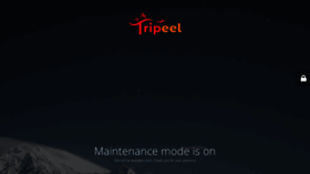What Tripeel.com website looked like in 2021 (3 years ago)