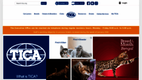 What Tica.org website looked like in 2021 (2 years ago)