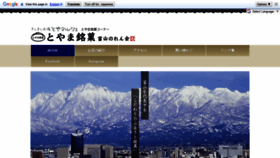 What Toyamameika.com website looked like in 2021 (3 years ago)