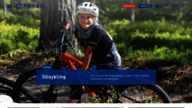 What Trysil.com website looked like in 2021 (3 years ago)