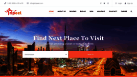 What Tripeel.com website looked like in 2021 (2 years ago)