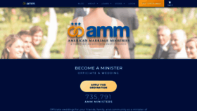 What Theamm.org website looked like in 2021 (2 years ago)