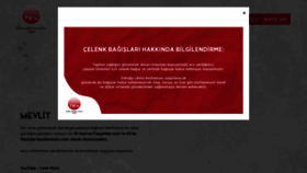 What Tev.org.tr website looked like in 2021 (4 years ago)