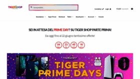 What Tigershop.it website looked like in 2021 (2 years ago)