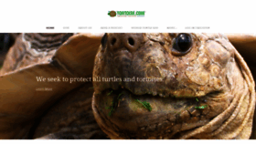 What Tortoise.com website looked like in 2021 (2 years ago)