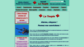 What Toupie.org website looked like in 2021 (2 years ago)