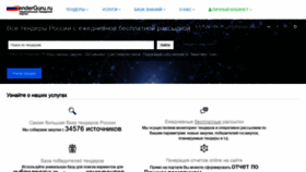 What Tenderguru.ru website looked like in 2021 (2 years ago)