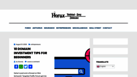 What Txapela.ru website looked like in 2021 (2 years ago)