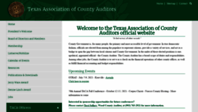 What Texascountyauditors.org website looked like in 2021 (2 years ago)