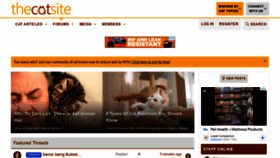 What Thecatsite.com website looked like in 2021 (3 years ago)