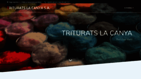 What Trituratslacanya.com website looked like in 2021 (2 years ago)