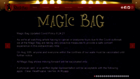 What Themagicbag.com website looked like in 2021 (2 years ago)