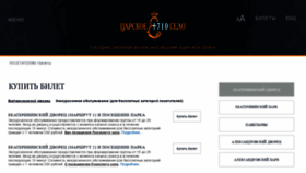 What Tkt.tzar.ru website looked like in 2021 (4 years ago)