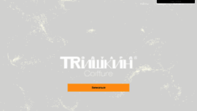 What Trishkin.ru website looked like in 2021 (2 years ago)