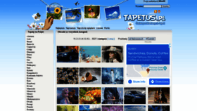 What Tapetus.pl website looked like in 2021 (2 years ago)