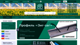 What Terramic.ru website looked like in 2021 (2 years ago)