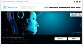 What Trisodium.ru website looked like in 2021 (2 years ago)