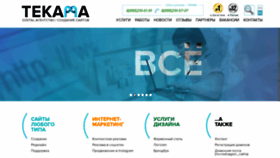 What Tecama.ru website looked like in 2021 (2 years ago)