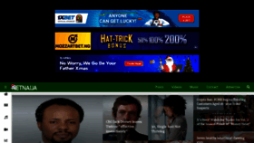 What Thenetnaija.co website looked like in 2021 (3 years ago)