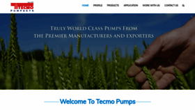 What Tecmopumps.com website looked like in 2021 (2 years ago)