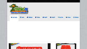 What Turkedebiyati.org website looked like in 2022 (4 years ago)
