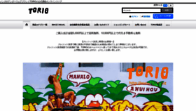 What Torio.biz website looked like in 2022 (2 years ago)