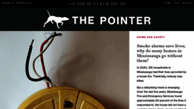 What Thepointer.com website looked like in 2022 (2 years ago)
