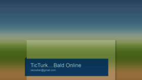What Ticturk.com website looked like in 2022 (2 years ago)