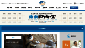 What Tokyo-doctors.com website looked like in 2022 (2 years ago)